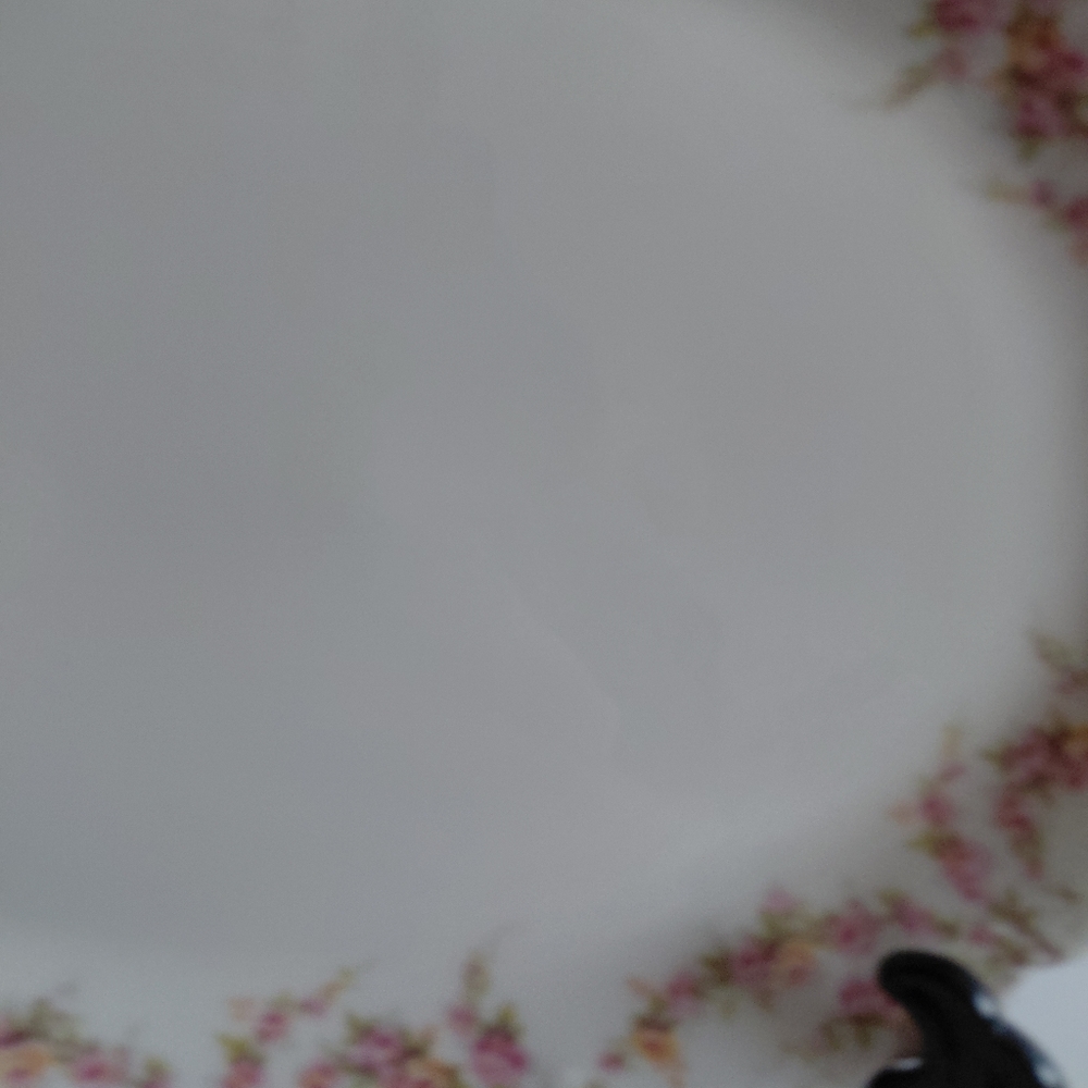 Limoge Teodor Haviland France Oval Serving  Porcelain  Floral Gold Trim Plate - Picture 5 of 16